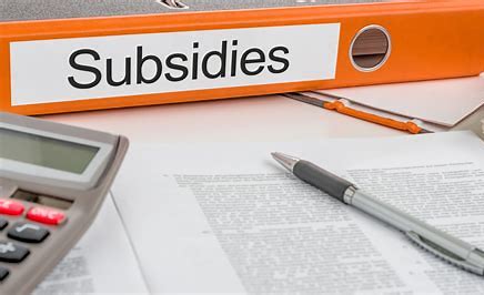 Subsidies voor het verduurzamen van je woning; welke zijn er en hoe vraag je ze aan?